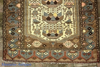 Savah-- 4 ft 3 x 6 ft 4 in. Of course the best Pomegranates are from Savah. Rugs with this design are rare. Rarer still in this larger size. Colors are more  ...