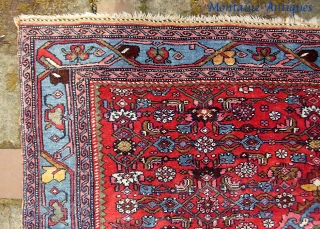 Bidjar-- 4 ft 0 inches x 5 ft 4 inches. Bright and gorgeous piece on wool foundation... very good all original condition. Sold it a while back. Recently bought it back. Wheel  ...