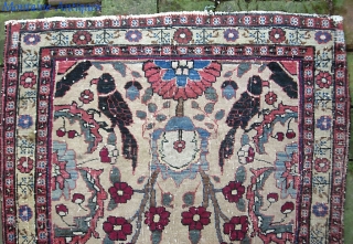 Old Persian Pushti.  24 x 34 inches. Lovely old ivory ground piece of uncertain  origin and I won't hazard a guess. Very fine weave. Double wefted on cotton foundation. Fine  ...