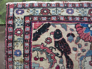 Old Persian Pushti.  24 x 34 inches. Lovely old ivory ground piece of uncertain  origin and I won't hazard a guess. Very fine weave. Double wefted on cotton foundation. Fine  ...