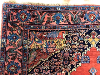 Bidjar-- approx 4.9 x 6.9-- Circa 100 years old. Classic open medallion on wool foundation. One of the finest and most beautiful examples ever. Terrific pristine  condition. Call me for in  ...