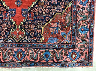 Bidjar-- approx 4.9 x 6.9-- Circa 100 years old. Classic open medallion on wool foundation. One of the finest and most beautiful examples ever. Terrific pristine  condition. Call me for in  ...