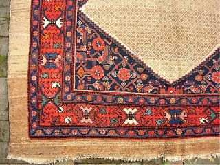 Camel Malayer-- 5.7 x 9.6 --  Antique West Persian village medallion rug with wool weft. Floppy. Open "diapered" field with natural camel colored wool and abundant abrashes. Old rug! As found  ...