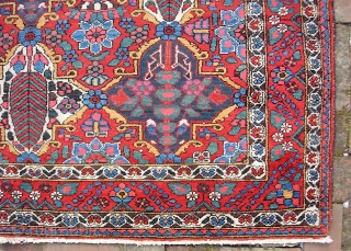 Bahktiari-- 5 ft 0 inches x 6 ft  5 inches. A squarish rug several notches better than your average garden variety garden Bahktiari. Extra pretty colors and no apologies for condition.  ...