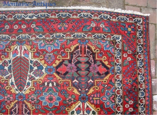 Bahktiari-- 5 ft 0 inches x 6 ft  5 inches. A squarish rug several notches better than your average garden variety garden Bahktiari. Extra pretty colors and no apologies for condition.  ...