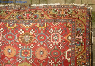 Bahktiari-- 5 ft 4 in x 10 ft 1 in. Some of the warps are cotton and some are wool. Hard to find foyer size. You don't often see a Bahktiari with  ...