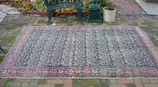 Senneh-- 5 ft 4 inches x 7 ft 10 inches. A well traveled old thing in larger format. Thin and finely woven. Exposed foundation all thru the rug-- tho it is hard  ...