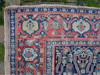 Senneh-- 5 ft 4 inches x 7 ft 10 inches. A well traveled old thing in larger format. Thin and finely woven. Exposed foundation all thru the rug-- tho it is hard  ...