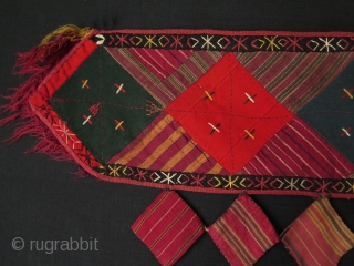 Turkmen camel trapping fragment. Size: 24" x 60" - 60 cm x 152 cm.                   