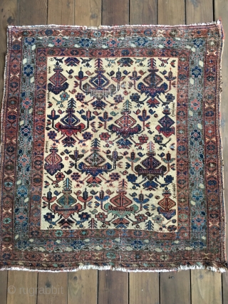 Small squarish Antique Afshar usually called a Masnad or sitting rug for distinguished guests. Camel field with colorful symbols including several blues and greens. All natural colors. Size: 3'5" X 3'10". Good  ...