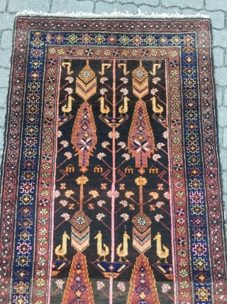 Antique Persian Bakhtiary tree of life rug with birds and animals, age: circa 1920, size: ca. 240x100cm / 7'9''ft x 3'3''ft            