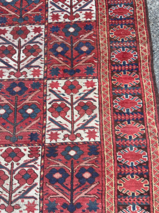 Antique Turkmen Beshir carpet, age: circa 1850. Origin: Amu Darya region.  Beautiful tree design with red and white field. Size: ca. 305x145cm / 10ft by 4’8ft http://www.najib.de     