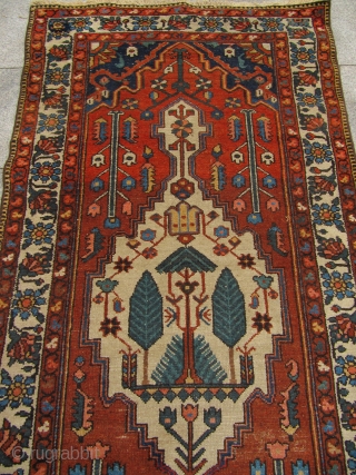 Antique Persian Bakhtiary long rug . Age : ca 1900 . Size : ca 335cm x 107cm ( 11' x 3'5'' )           