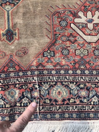 Fine antique Persian Senneh rug, beautiful camel ground color. Inscriptions inside the minor border, size: 200x130cm / 6'6''ft x 4'3''ft             