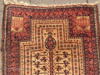 A very nice antique Baluch prayer rug, fine quality, lovely details. Age: circa 1880 Size: ca 145cm x 85cm ( 4'8'' x 2'8''ft ) Beautiful collector´s piece , much better then most  ...