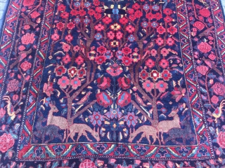 The Garden of Eden: Antique Persian Bakhtiary tribal rug displaying a tree of life design with lot of animals, wool foundation. Age: late 19th century, size: ca. 370x210cm / 12'1''ft x 6'8''ft  ...