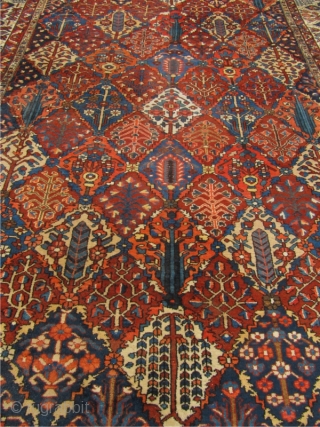 Antique Persian oversize Bakhtiary carpet. Circa 1920. Size: ca. 505x350cm / 16'6'' x 11'5''                   