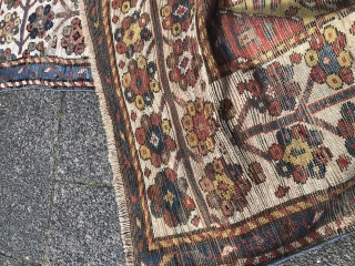 Antique Caucasian rug from an old German collection, good age, very nice colors and beautiful tree border. Age: 19th century. Size: ca. 227x111cm / 7'4''ft x 3'7''ft some condition problems but still  ...