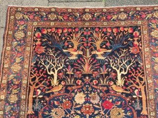 Fine Bakthiary tree of life rug displaying the Garden of Eden, very elegant drawing. circa 1920. Origin: western Central-Persia. Size: 190x140cm / 6'3'' x 4'6''ft www.najib.de       