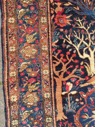 Fine Bakthiary tree of life rug displaying the Garden of Eden, very elegant drawing. circa 1920. Origin: western Central-Persia. Size: 190x140cm / 6'3'' x 4'6''ft www.najib.de       