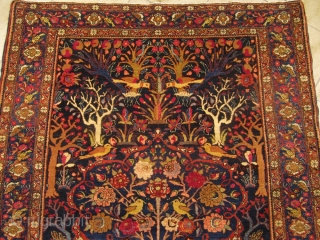 Fine Bakthiary tree of life rug with elegant drawing. circa 1920. Origin: western Central-Persia. Size: 190x140cm / 6'3'' x 4'6''ft             