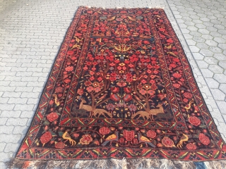 Antique Persian Bakhtiary village rug displaying a tree of life design with lot of animals, wool foundation. Age: late 19th century, size: ca. 370x210cm / 12'1''ft x 6'8''ft good condition   