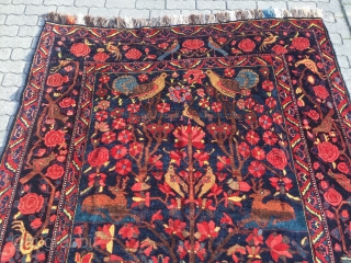 Antique Persian Bakhtiary village rug displaying a tree of life design with lot of animals, wool foundation. Age: late 19th century, size: ca. 370x210cm / 12'1''ft x 6'8''ft good condition   