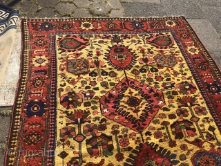 Antique Luri Bakhtiary tribal rug from the 19th century, beautiful yellow ground color, wool foundation. Size: 390x174cm / 12'8''ft x 5'7''ft, good condition.          