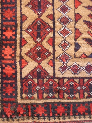 A fantastic Belouch rug with mainly undyed camel wool. It is loosely woven, with a floppy handle. The wool is lustruous, soft and shinny. The central tree is great with all the  ...