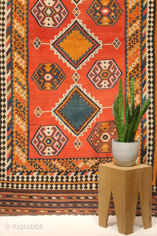 This stunning antique Persian Qashqai kilim showcases an impressive range of rich, natural colours, including indigo blue, mustard yellow, and warm terracotta—all achieved using 100% natural dyes.

Woven with exceptionally fine, hand-spun wool,  ...