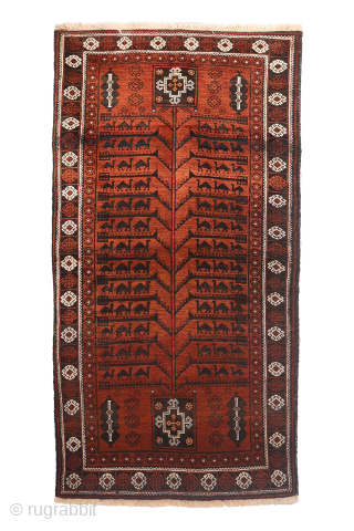 A very unusual design for this antique Baluch rug from Afghanistan. This rug from the 1920s sports a  surprising design with a central tree of life motif with camel caravans in  ...