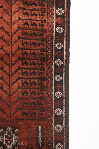 A very unusual design for this antique Baluch rug from Afghanistan. This rug from the 1920s sports a  surprising design with a central tree of life motif with camel caravans in  ...