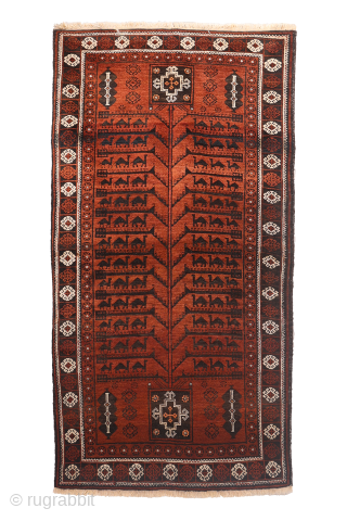 A very unusual design for this antique Baluch rug from Afghanistan. This rug from the 1920s sports a  surprising design with a central tree of life motif with camel caravans in  ...