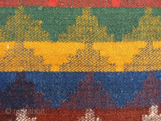 This moj (as the jajims are called in the South West of Iran), is finelly woven and all the dyes are natural. Normally mojes are thin, but this one is thick and  ...