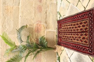 An unusual Persian Baluch prayer rug. Within the hand, a gül with an eight pointed star and a goat have been woven. Soft and shinny wool, with full pile, in mint condition,  ...