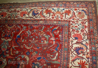 #1B458  Hand made antique Persian Sultanabad rug 9.10' x 13' ( 303cm x 396cm) 1880.C
                 