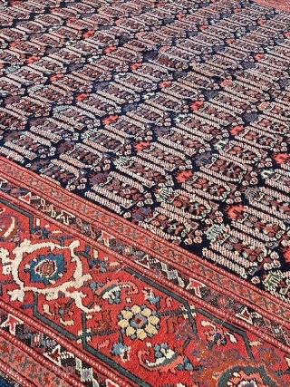 North West Persia/ Karabagh ca 1900 kelleh size carpet in good condition. Some wear on a few spots. Ca 524 x 222 cm.

A video can be provided at request. 
   