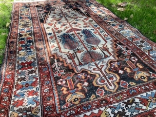 Bakhtiari with unique prayer rug design, 132 x 200 cm (4"4' x 6"7').

White background, great condition.                 