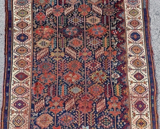 Qhasqai Shekarlu Rug Circa 1870s-1880s size 165x241 cm                         