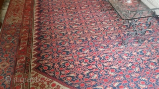 Old decorative Malayer carpet
size: cm.390*290
Very good condition,no repairs,stunning dyes
                        