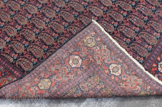 Antique senneh rug.In great condition. Has lots of pile. Nice border and great colors in botehs. Contact for more info.             