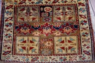 A Northwest bagafce that has very unique four quadrant design and in great condition. It has retained its full pile and its original finish at the top and kilim finish at the  ...