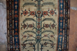 This is a Farahan poshti rug with a unique tree of life design, in perfect full pile condition, and measures 1.10x2.6 FT in size.  the design of this rug is very  ...