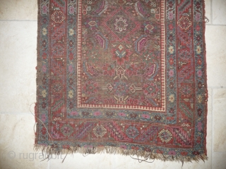 an early north-west persian long rug, possibly kurdish, with a very unusual colour palette, all natural with different purples and light indigo abrash. ends and selvedge partially worn but more or less  ...