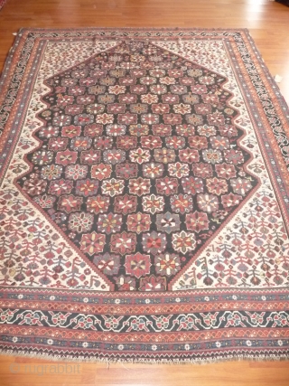 attrative southwest persian carpet of rare size- 215x 282cm- nice natural colours. some scattered restorations wich could be redone.              