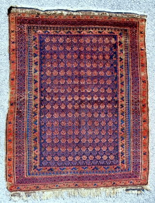 Timuri Baluch rug with the Dokhtar-i-Qazi shrub design. Mid 19th c.                      