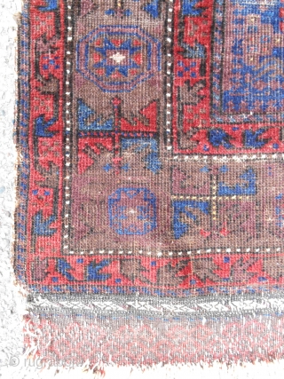 Extraordinary Timuri Baluch prayer rug (44"x 58"). Fine! Luxurious glossy wool. Ex. Craycraft collection. Mid 19th c. As good as they get!           