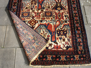 Senneh rug. Mysterious design with stunning colors. 

141cm x 103cm                       