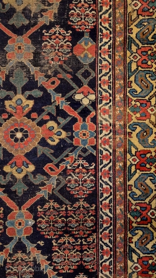 North-west persian kurdish 'double-mihrab' rug, 19th century. Non-commercial, tribal/village work with great colors & bold drawing. Ancient S-hooked border! Stylized dragons defending a blooming 'mina-khani' field of life. More pieces: http://rugrabbit.com/profile/5160  