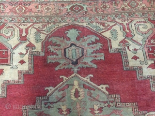 This is an antique Serapi or a Bakhshaish rug that was hand knotted pre-1900s. The rug has been restored to its old glory. I have uploaded the picture of back of the  ...